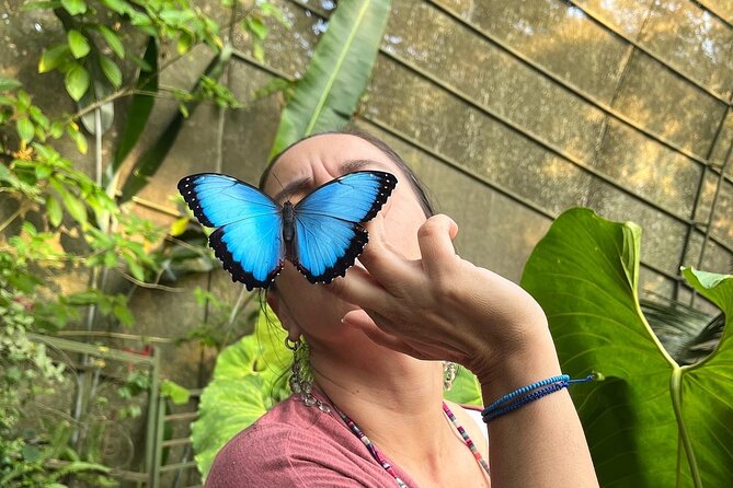 Cali Butterly Park Private Tour (Feb ) - Tour Highlights