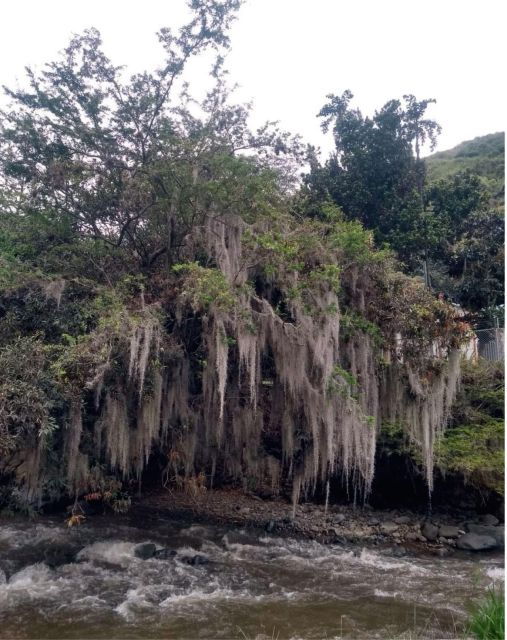 Cali: Cali River Waterfall and GREAT River Pools - Good To Know