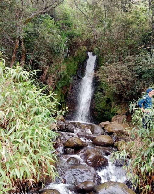 Cali: Cali River Waterfall and GREAT River Pools - Booking Information