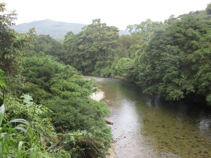 Cali: Guided Day-Trip to San Cipriano With Traditional Lunch - Highlights