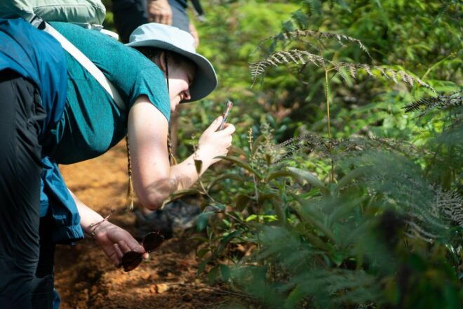 Cali: Hiking to the Pance Waterfalls - Booking Information