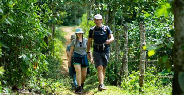 Cali: Hiking to the Pance Waterfalls - Customer Reviews