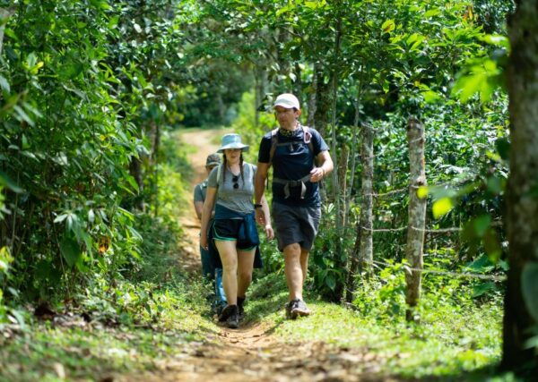 Cali: Hiking to the Pance Waterfalls - The Sum Up