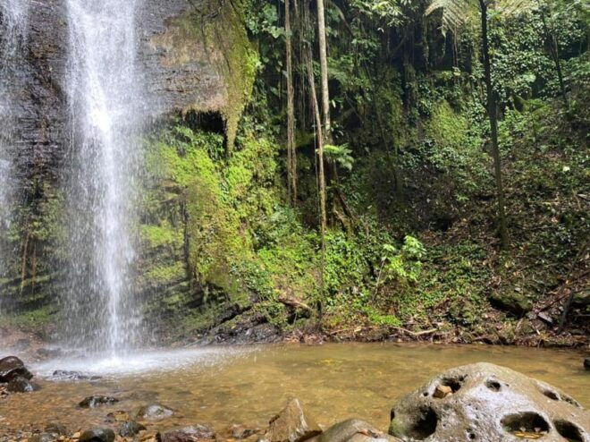Cali: National Park Waterfalls Tour With Lunch & Transfer - Participant Guidelines