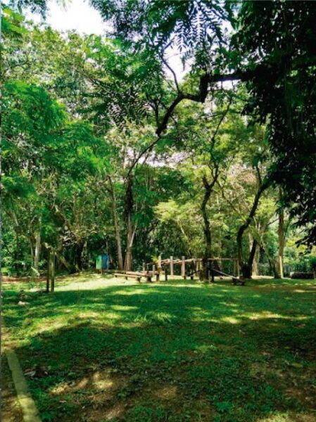 CALI: Parque De La Salud: MOST TRADITIONAL River Park! - The Sum Up