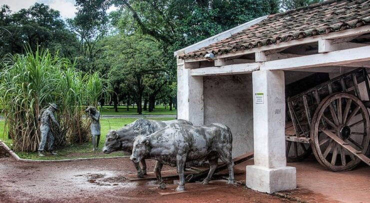 Cali: Sugar Cane Farm and El Paraiso Hacienda Day Trip - Booking Details