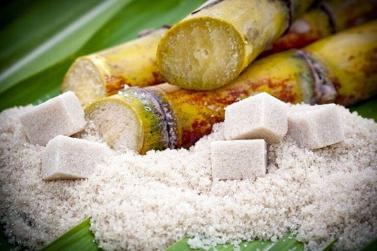 Cali: Sugar Cane Farm and El Paraiso Hacienda Day Trip - Experience Highlights
