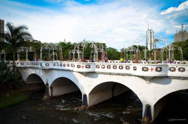 Cali: Three Hours Walking Cali City Discovery Tour - The Sum Up