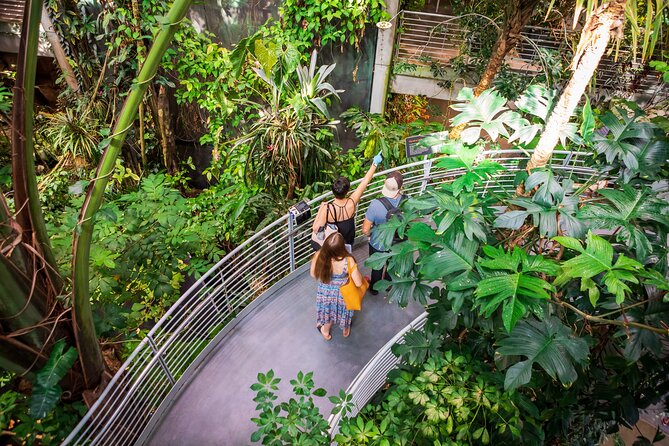 California Academy of Sciences General Admission Ticket - Ticket Pricing and Discounts