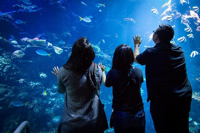 California Academy of Sciences NightLife Admission Ticket - Traveler Tips
