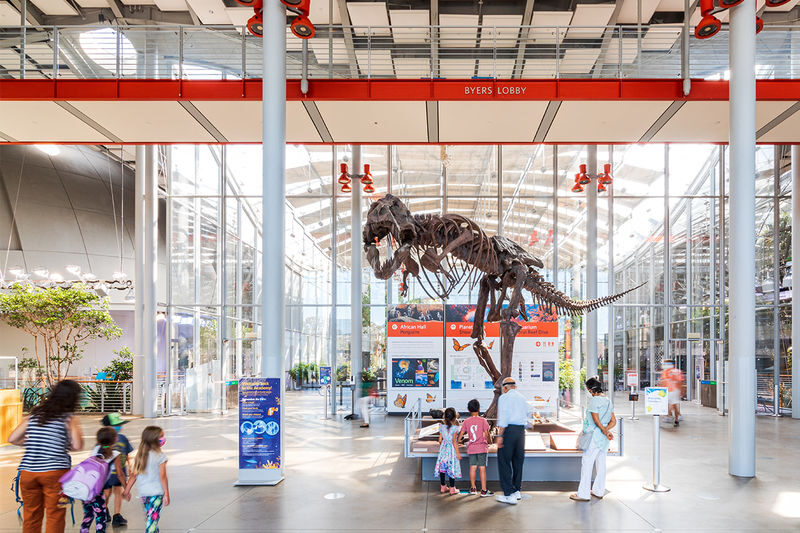 California Academy of Sciences Ticket in San Francisco - One roof, four different worlds