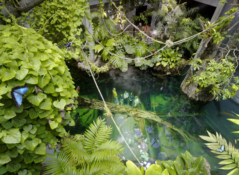 California Academy of Sciences Ticket in San Francisco - Getting to the Academy and making entry easy