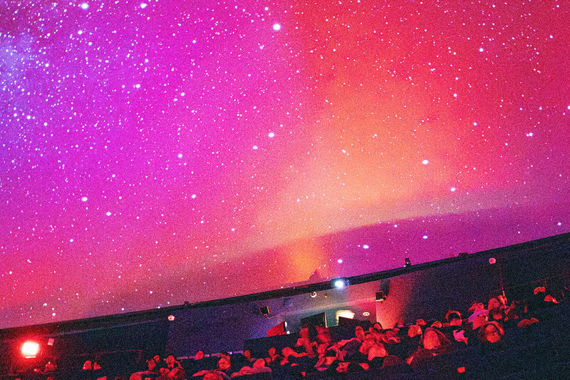California Academy of Sciences Ticket in San Francisco - Who will enjoy this visit most?