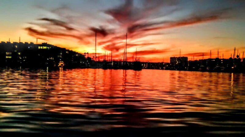 California Coastline Scenic Wildlife Photography Tour - FAQs