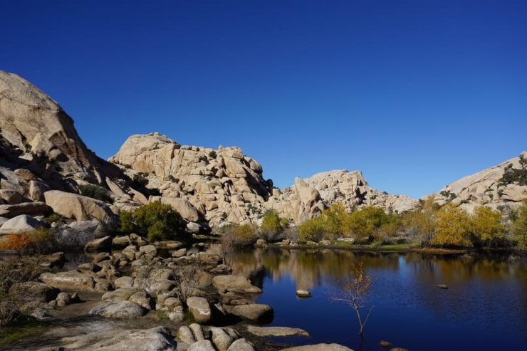 California National Parks: Self-Guided Audio Tour Bundle - Good To Know