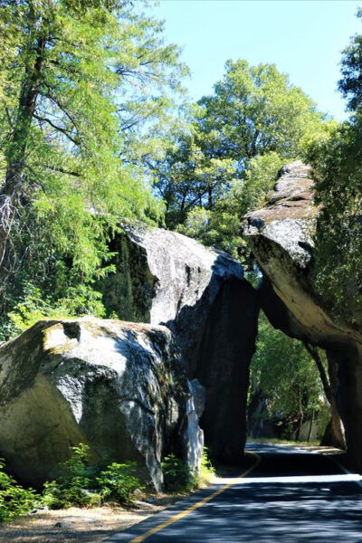 California National Parks: Self-Guided Audio Tour Bundle - Customer Feedback