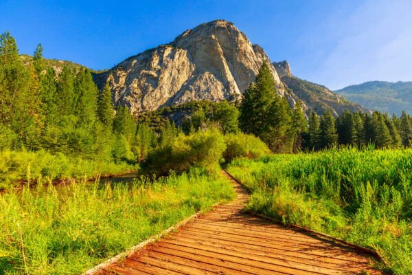 California National Parks: Self-Guided Audio Tour Bundle - Contact Support