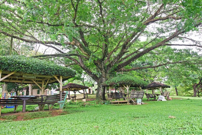 Caliraya Resort Day Pass - Lunch and the value of the pass