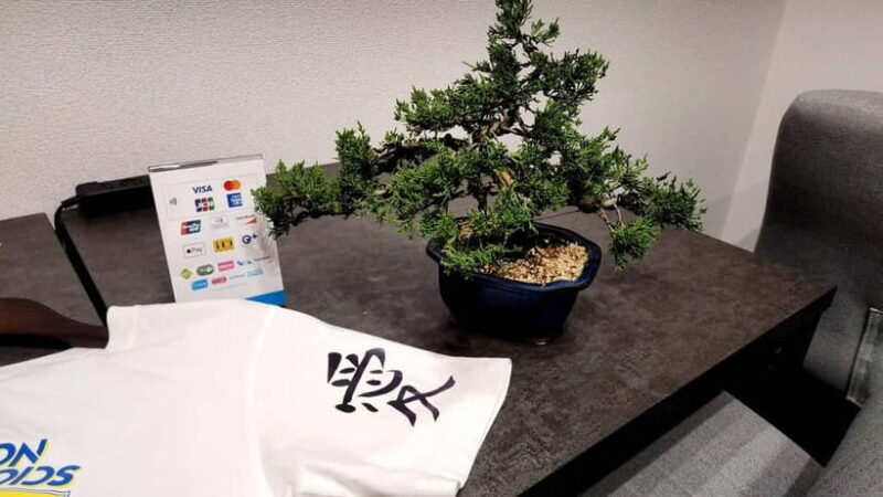 Calligraphy & print your calligraphy on a T-shirt. - The Sum Up