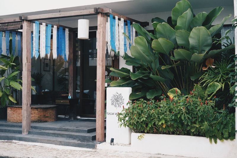 Calm Massage at Inthawarotot in Chiang Mai - An Old City break between temples and meals