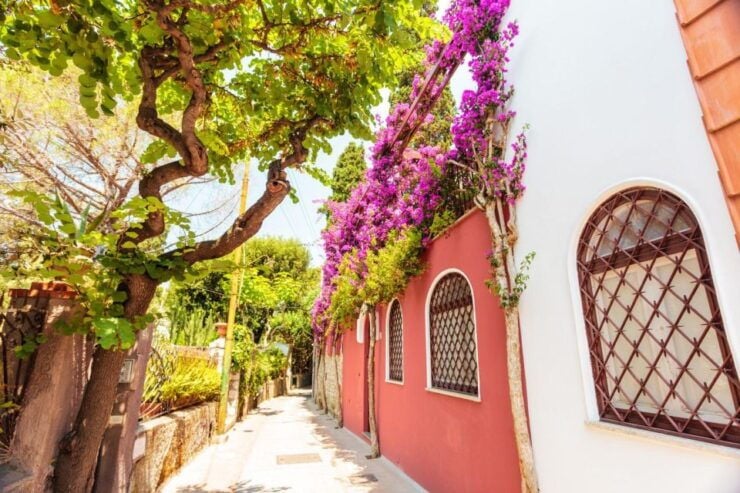 Calming Family Walking Tour in Capri - Good To Know
