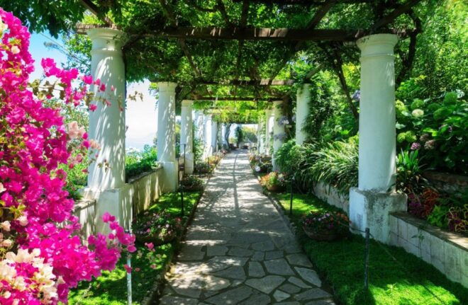 Calming Family Walking Tour in Capri - Description