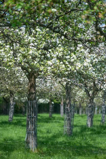 Calvados: the art of making Coquerel Calvados and Normindia Gin - The Experience and Atmosphere