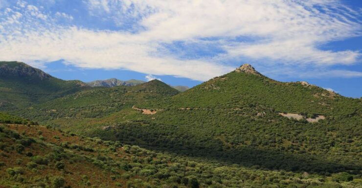 Calvi: Asco Valley 4x4 Day Tour With Guide - Tour Details