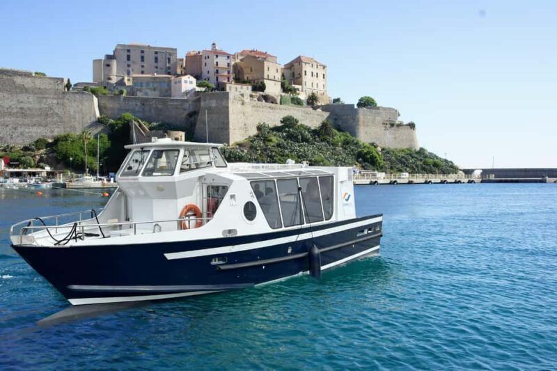 Calvi: Guided boat tour for 48 people to Scandola and Girolata - The Scenic Journey & Nature Encounter