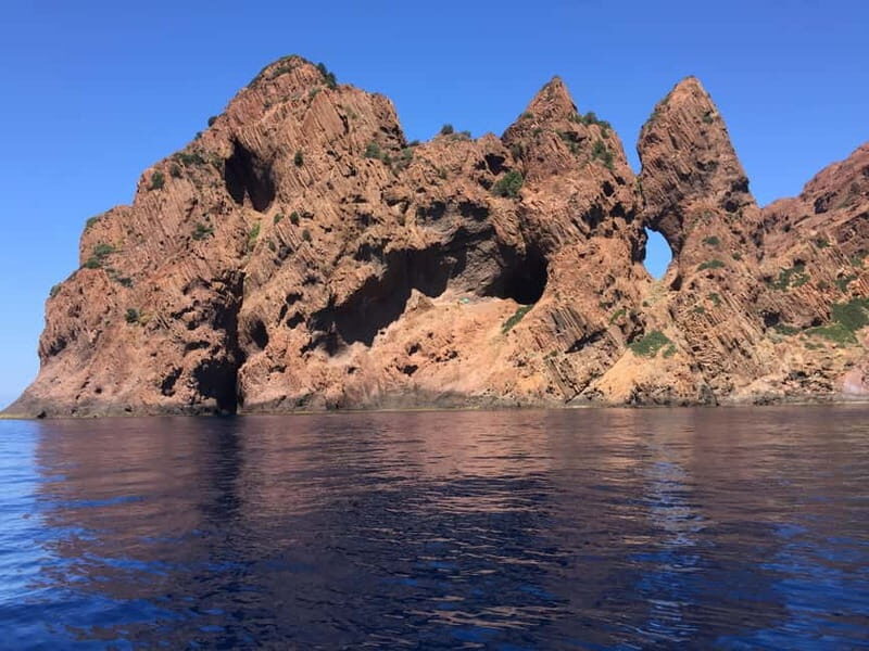 Calvi: guided boat tour for 48 people to Scandola - Good To Know