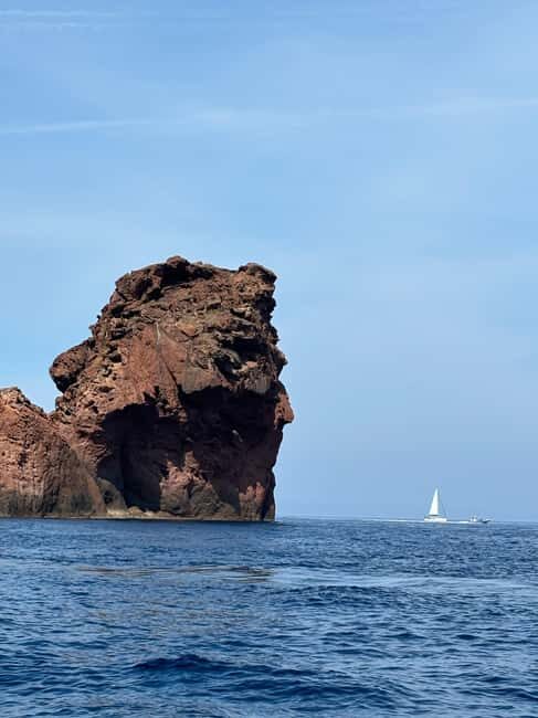 Calvi: guided boat tour for 48 people to Scandola - What’s Included and What’s Not