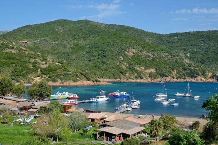 Calvi: Scandola and Girolata 6-Hour Boat Tour - Activity Description