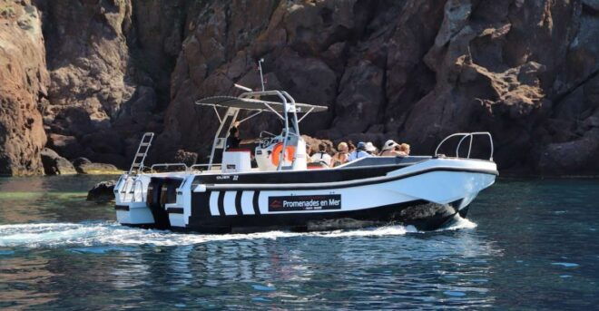 Calvi to Scandola: 4-Hour Boat Tour - Restrictions