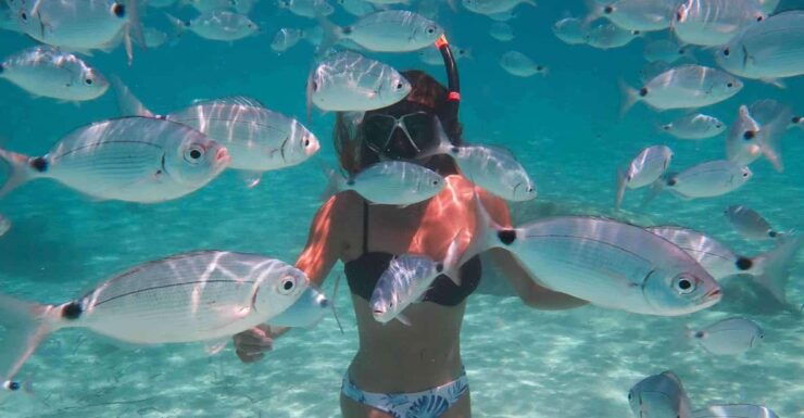 Calvi: Underwater Journey at the Edge of a Natural Reserve - Equipment Provided