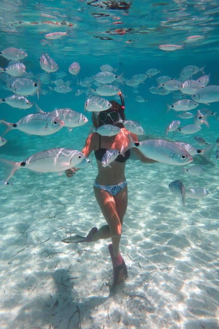 Calvi: Underwater Journey at the Edge of a Natural Reserve - Participant Requirements