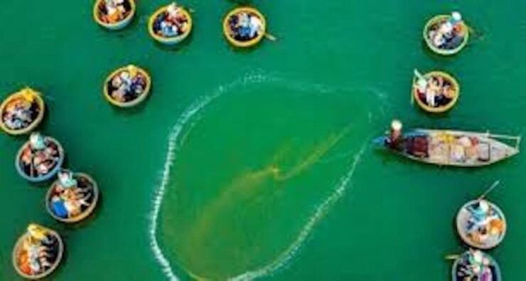 Cam Thanh Bamboo Basket Boat Tour From Hoi An/ Da Nang - Tour Duration and Guide Availability