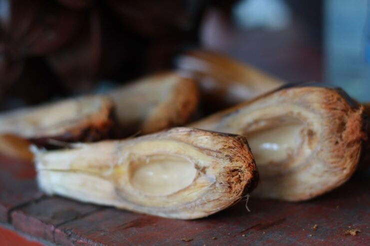 Cam Thanh Bike Tour From Hoi an - Activity Details