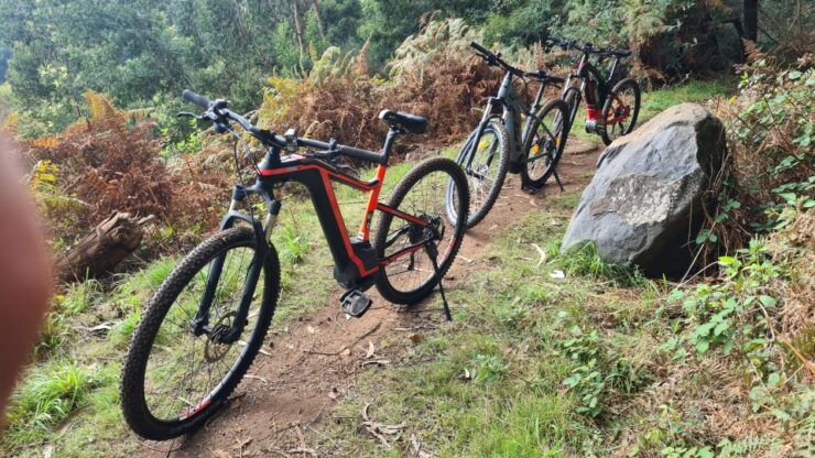 Camacha: Levada Trail E-Bike Guided Tour - Activity Details and Booking