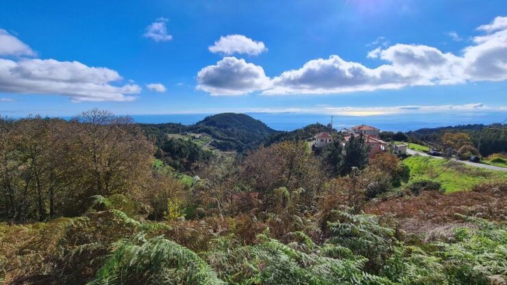 Camacha: Levada Trail E-Bike Guided Tour - Free Cancellation and Flexible Payment Options