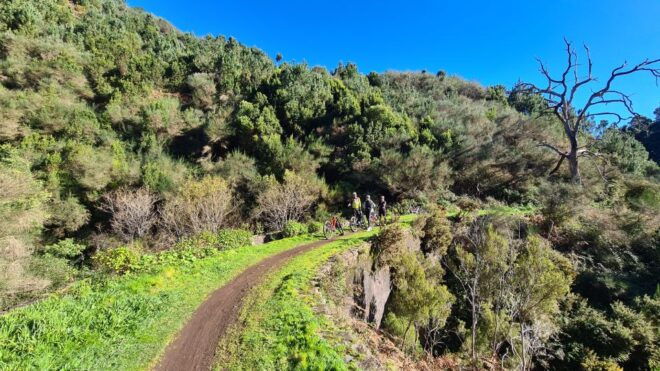 Camacha: Levada Trail E-Bike Guided Tour - Explore Camacha, the Picturesque Village