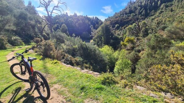 Camacha: Levada Trail E-Bike Guided Tour - Common Questions