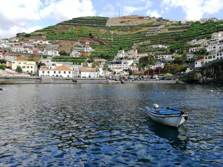 Camara De Lobos: 1.5-Hour Tour in a Tuk Tuk - Booking and Logistics