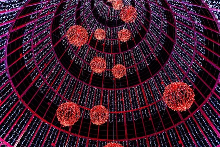 Camara De Lobos and Funchal Christmas Lights Tour - Experience Highlights