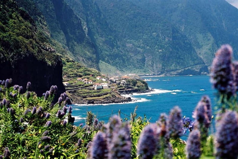 Câmara de Lobos, Pico da Torre, and Porto Moniz Tour - Good To Know: