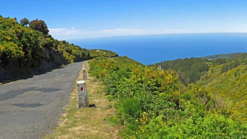 Câmara de Lobos, Pico da Torre, and Porto Moniz Tour - Final Thoughts