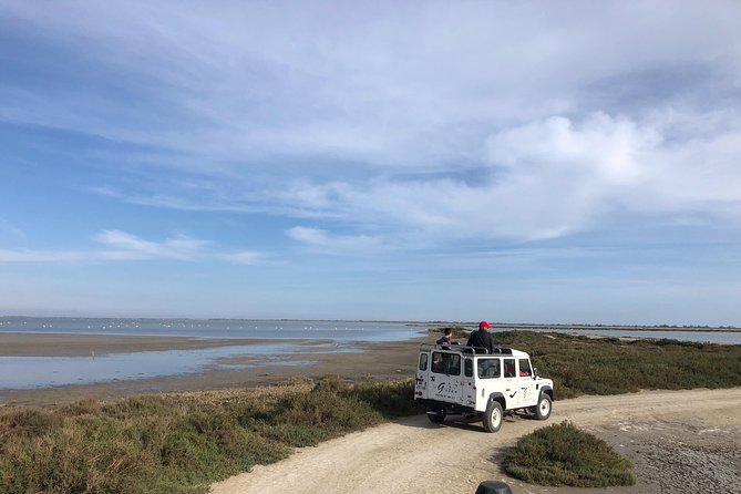 Camargue 4x4 Safari 2 Hours Saintes Maries De La Mer - Reviews