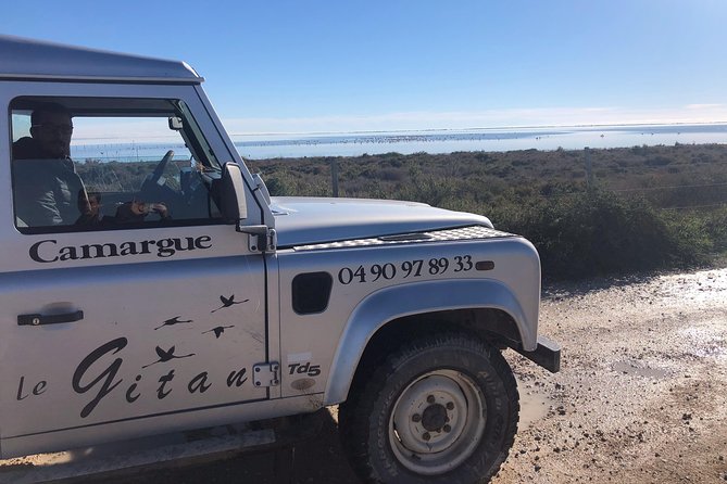 Camargue 4x4 Safari Day - What to Expect on the Safari