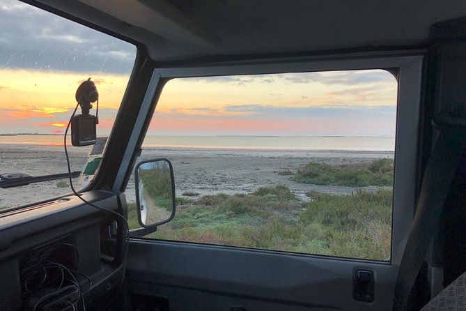 Camargue 4x4 Safari Day - The Sum Up