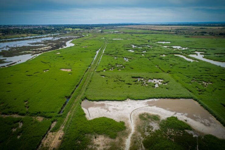 Camargue: Guided Electric Bike Tour - Activity Details