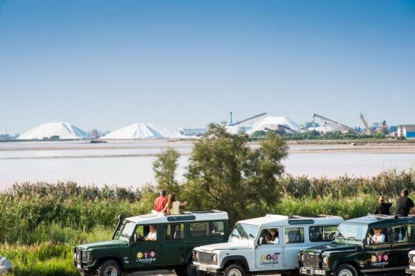 Camargue: Half-Day 4x4 Guided Safari Adventure - Accessibility Information